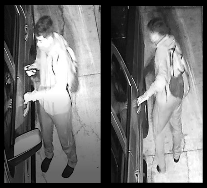 Imperial Lakes burglary suspects